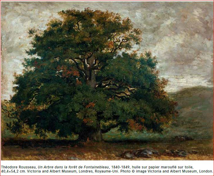 Théodore Rousseau (1812-1867) la voix de la forêt